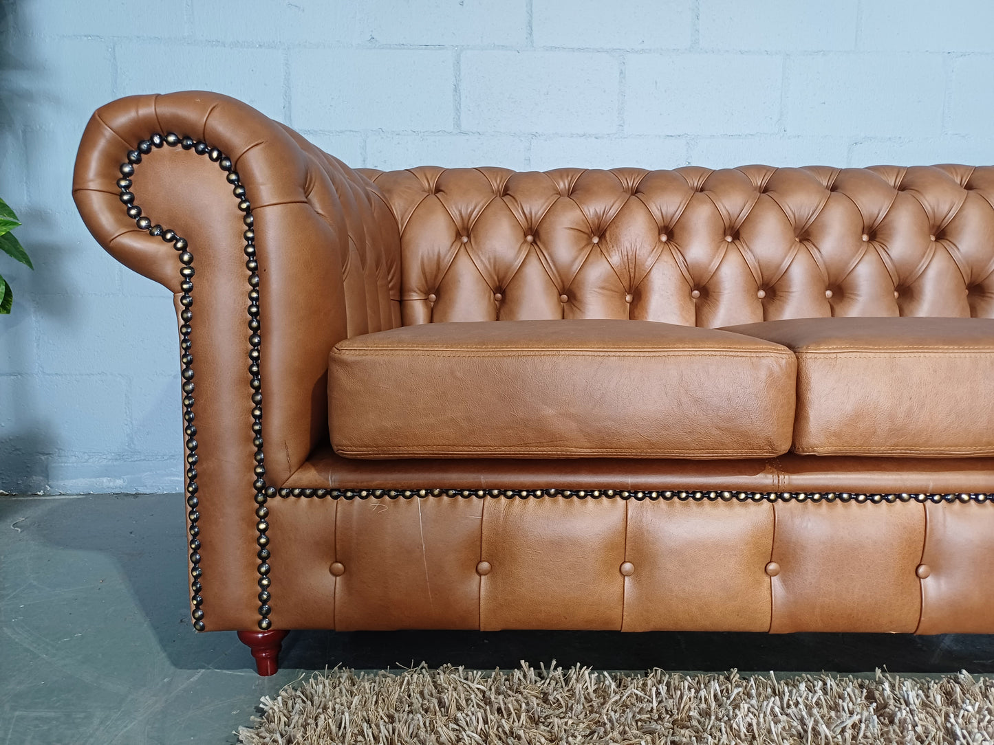 Chesterfield 3-Seater Etosha Chestnut