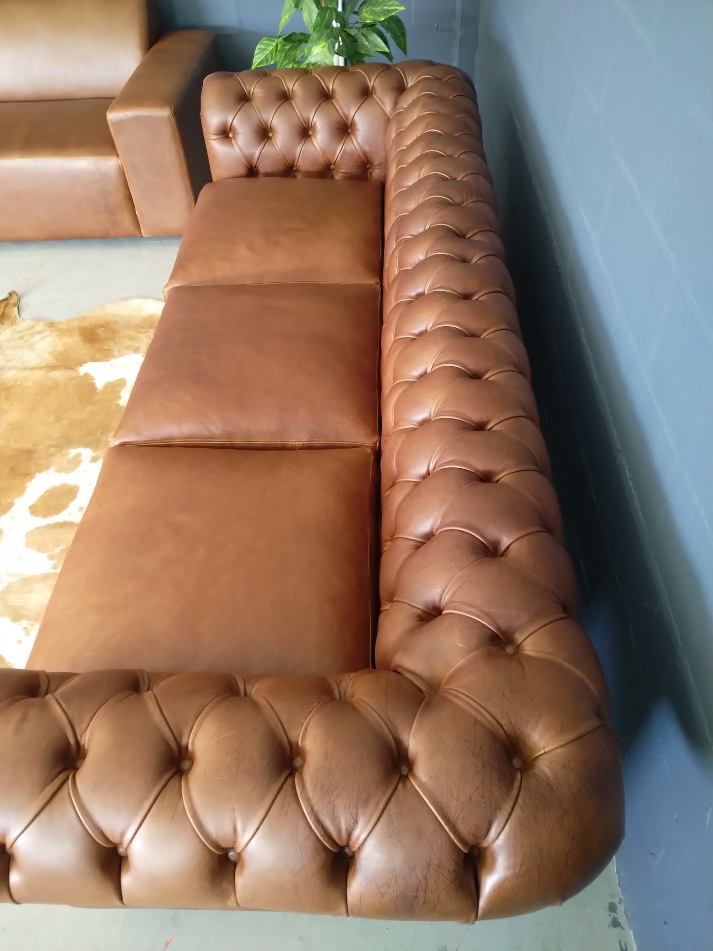 Chesterfield 3-Seater 2.6m Naku Butterscotch