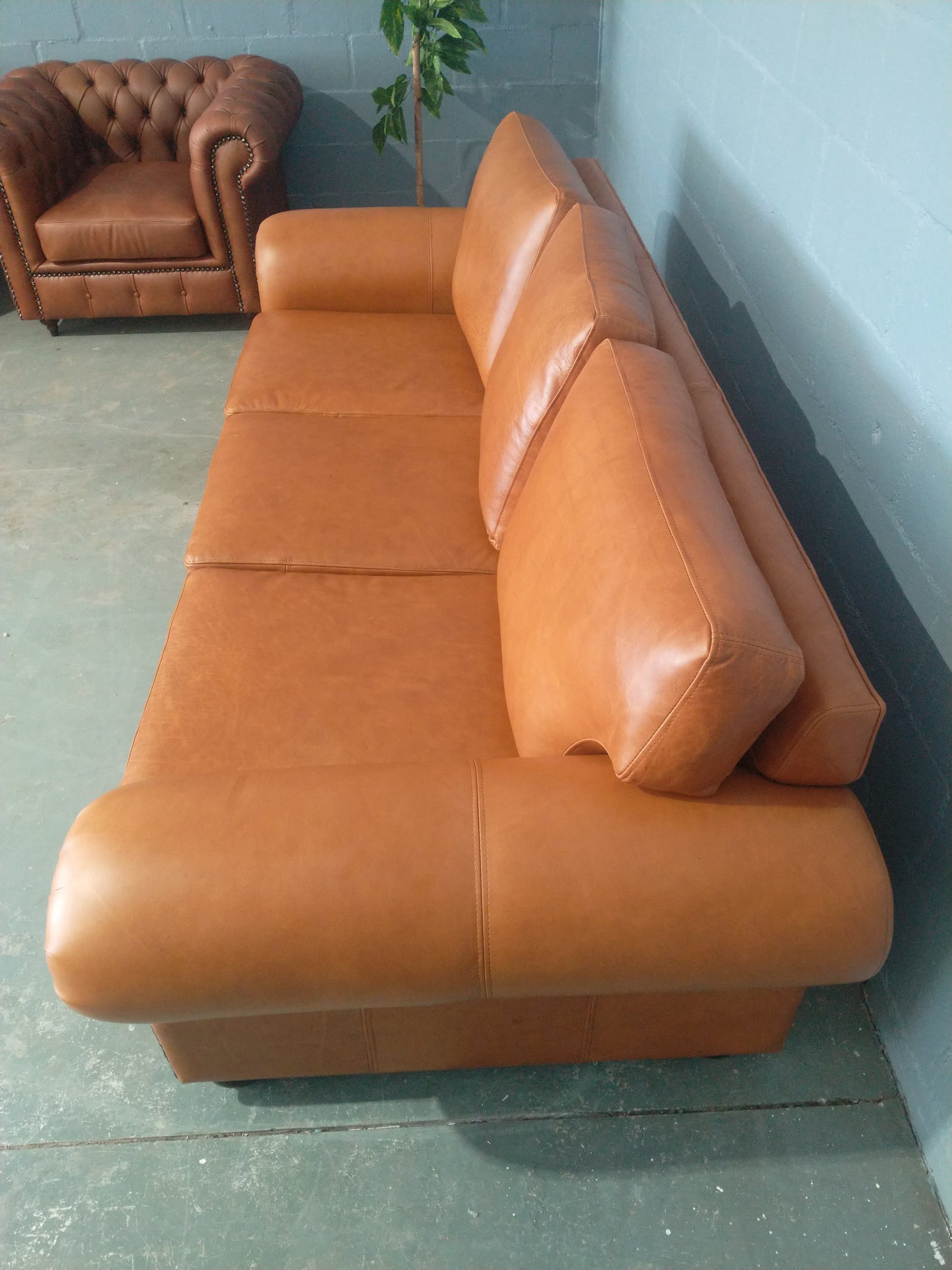 Jordon 3-Seater Etosha Pecan