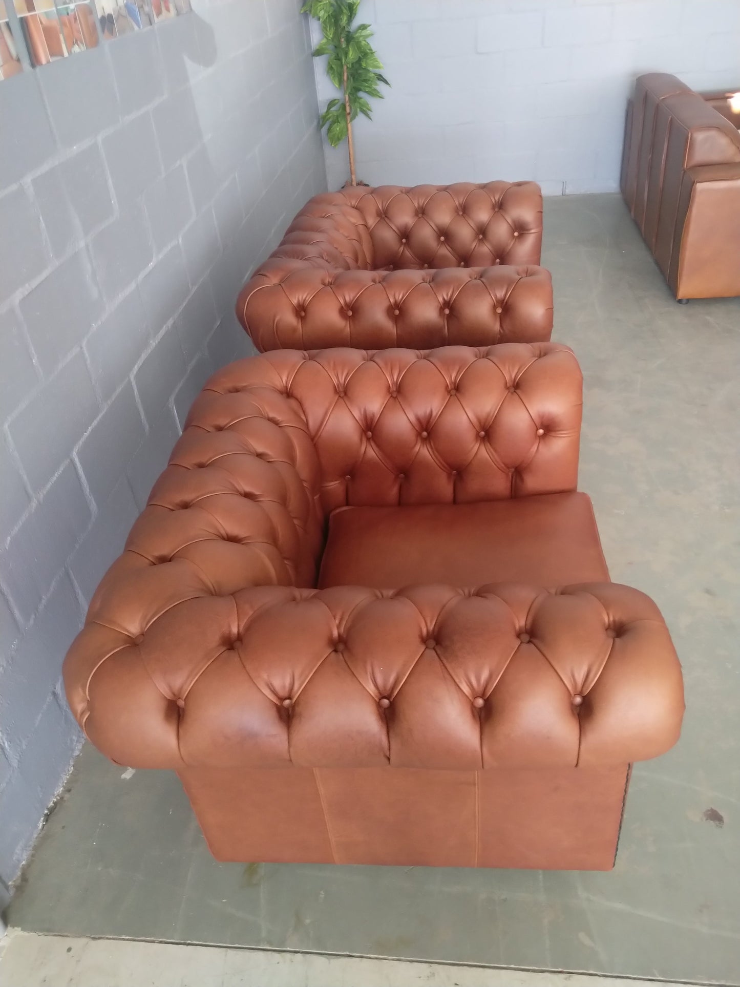 Chesterfield chair Naku Butterscotch